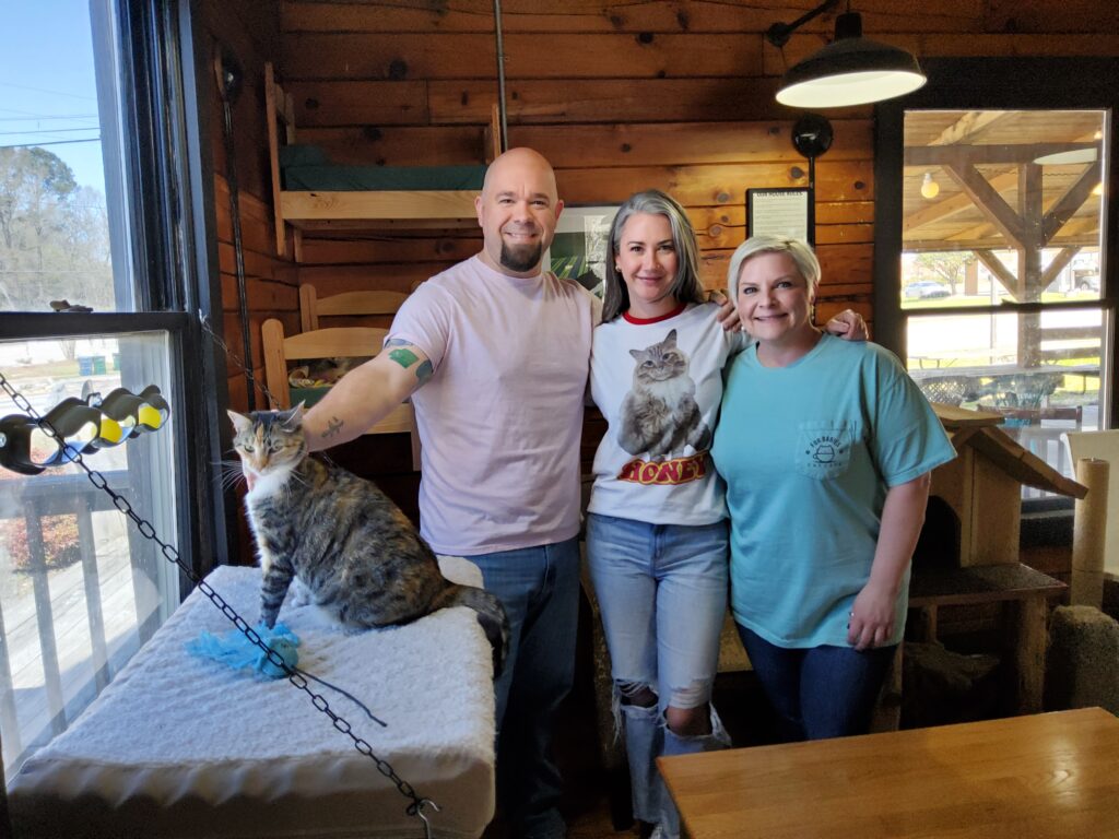 Carrollton’s Fur Babies Cat cafe: The Purr-fect Study Nook