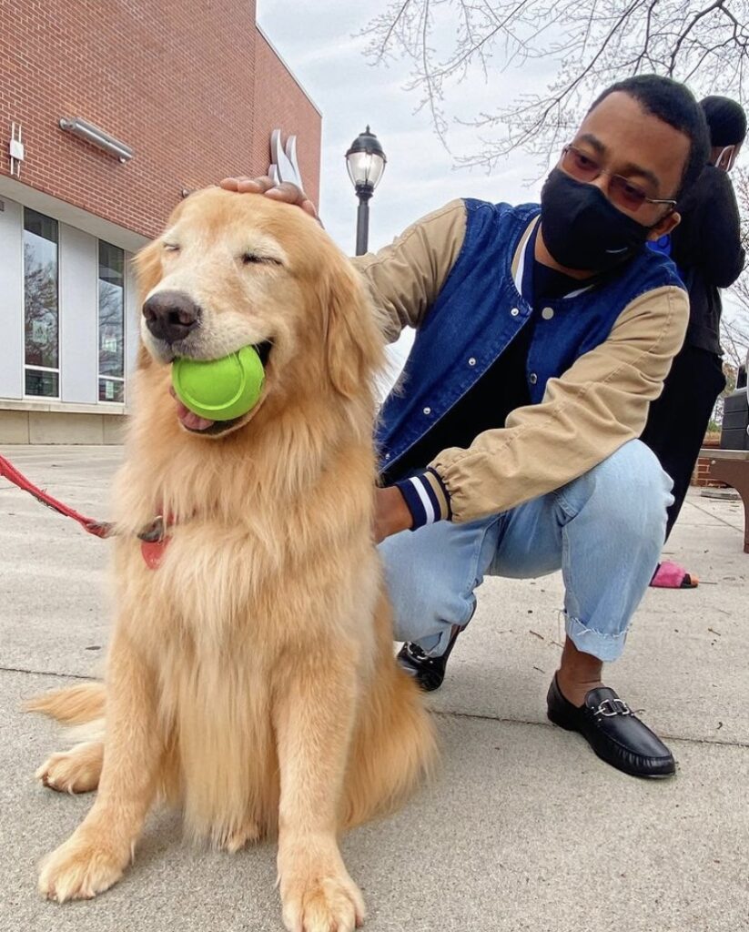 UWG Hosts Paws to Relax on National Puppy Day
