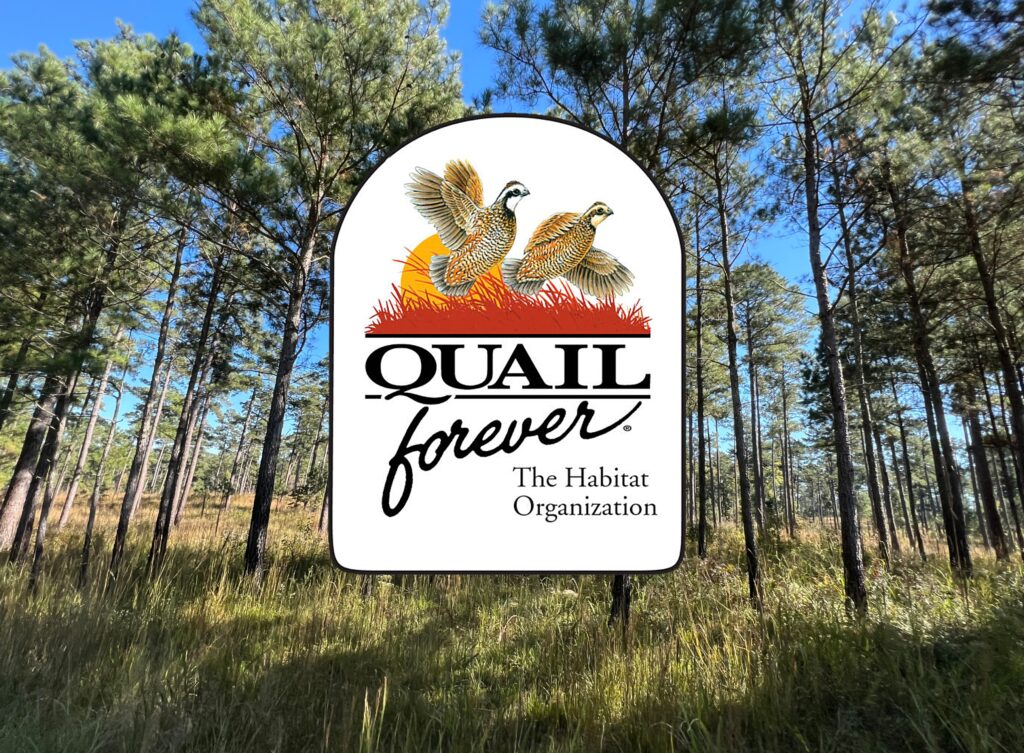 Quail Forever: Carrollton’s Local Resource for Conservation and Land Management