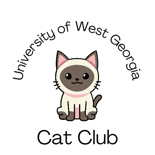 Cat Clubbing on Campus