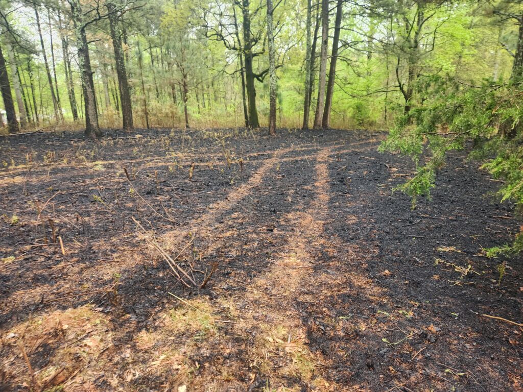 UWG Students Execute Prescribed Forest Fires in the Name of Conservation