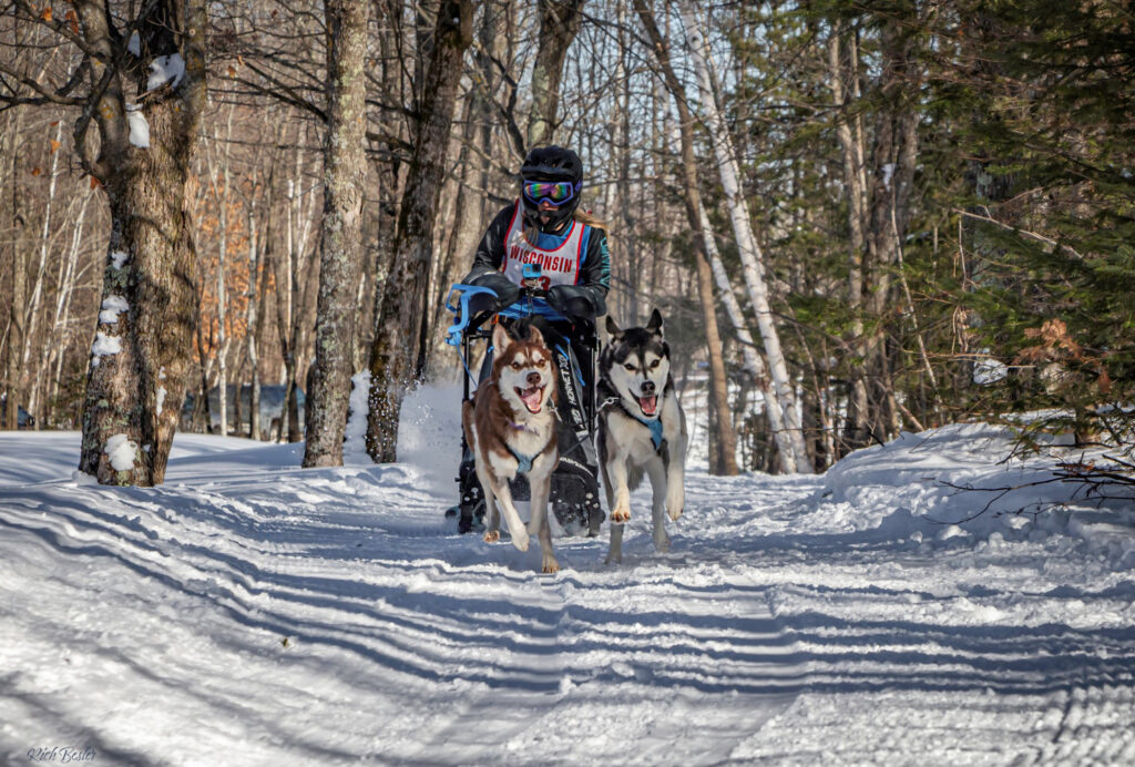 Former UWG student to compete in Sled Dog World Championships