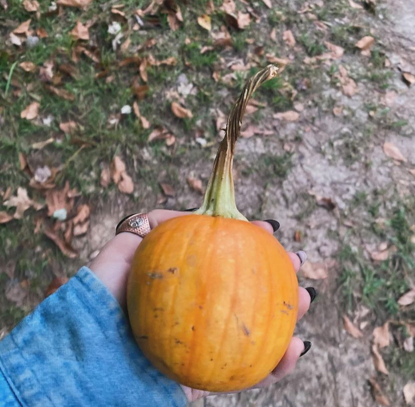 Gardening Club Grows Community and Student Involvement